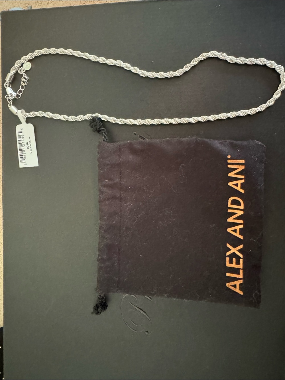 Alex and Ani Silver Tone Twisted Rope Necklace
